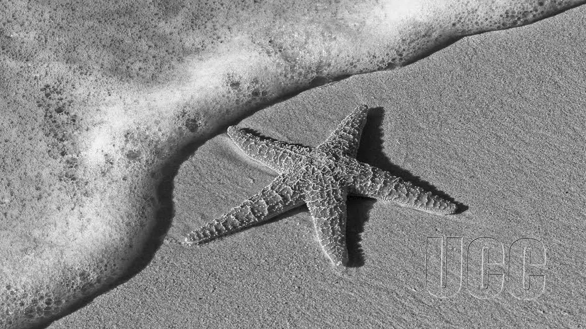 Fact-Finding Mission by Botswana Accountancy College
